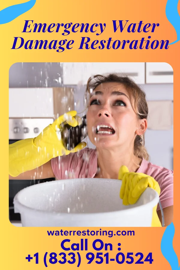 Emergency Water Damage Restoration in Sterling, GA