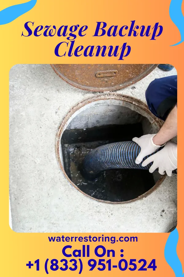 Sewage Backup Cleanup in Sterling, GA