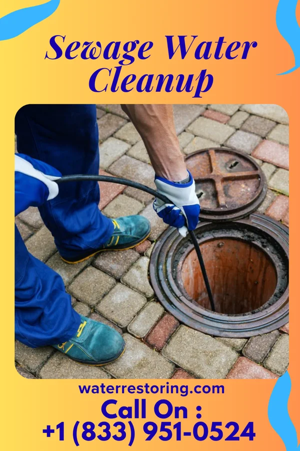 Sewage Water Cleanup in Sterling, GA