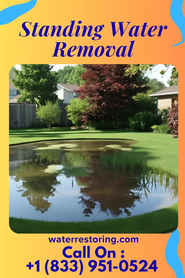 Standing Water Removal in Sterling, GA